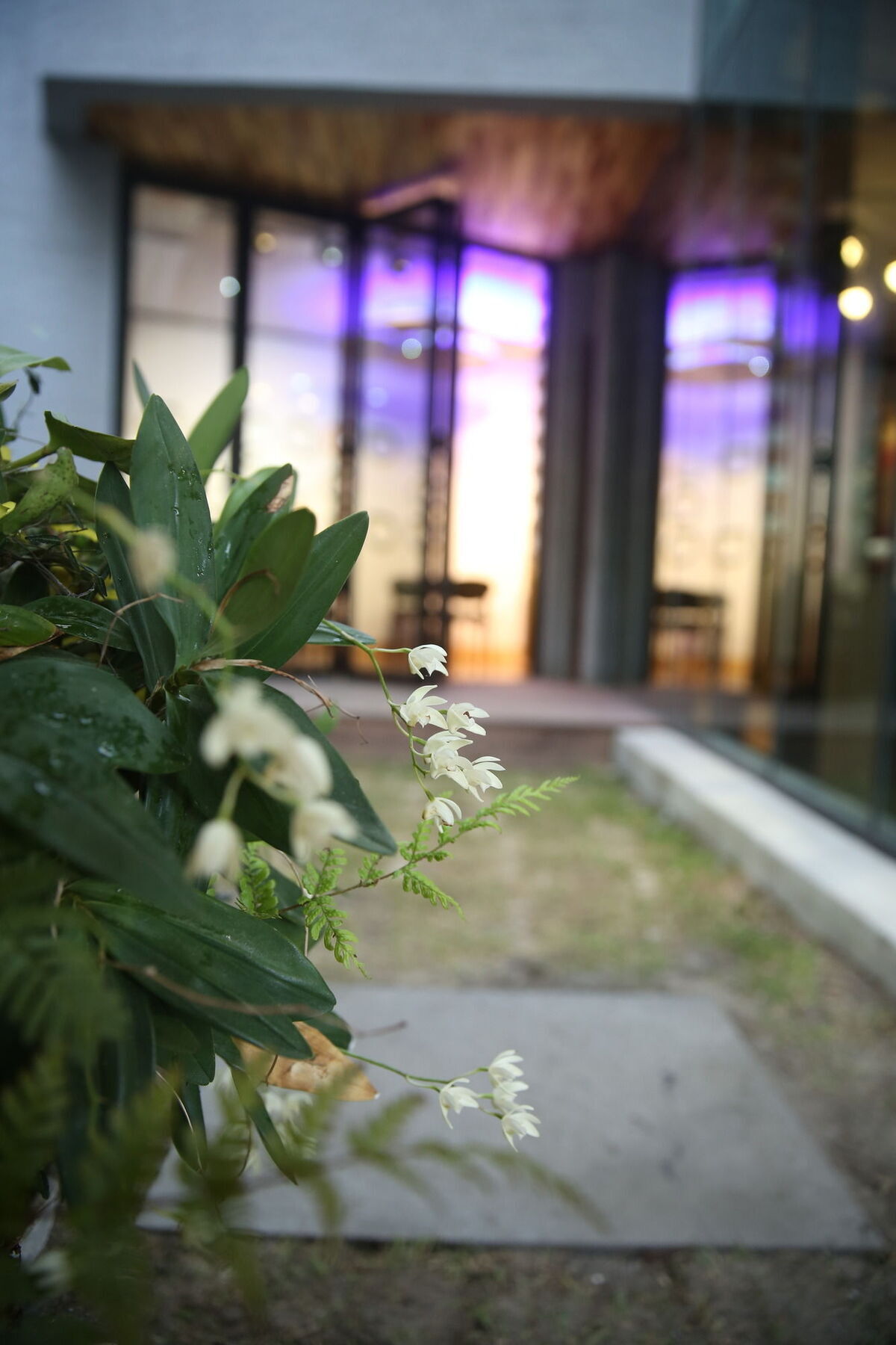 Sogondak House Villa Jeju Luaran gambar